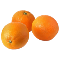 Apelsin Tarocco Färska IT