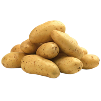 Potatis Italiensk Färsk IT