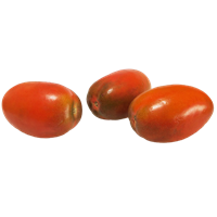 Tomater Cencara Färska IT
