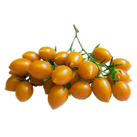 Tomater Datterino (Avlånga) ORANGE IT