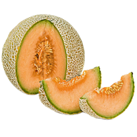 Meloner Nät IT