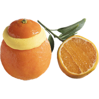 Mandarinsorbet i skal (12x90g)